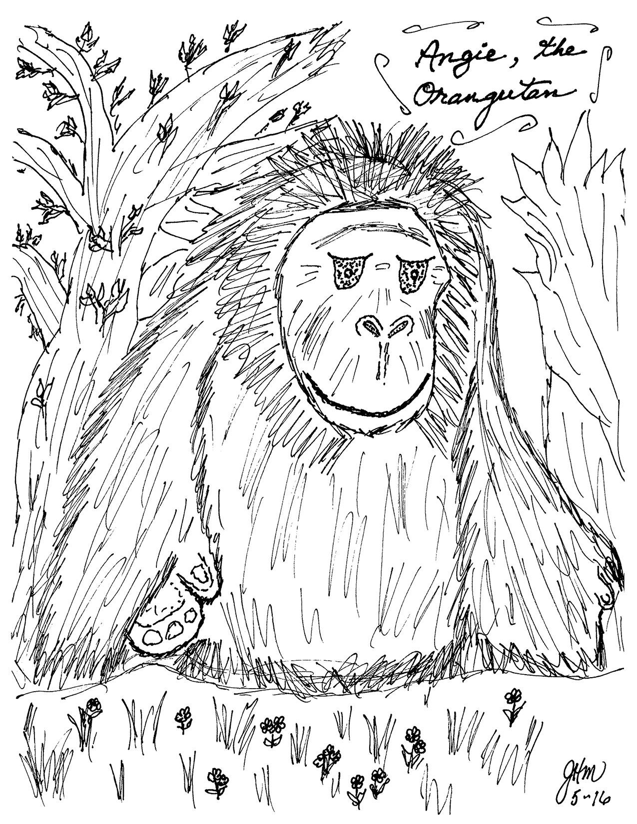Angie the Orangutang