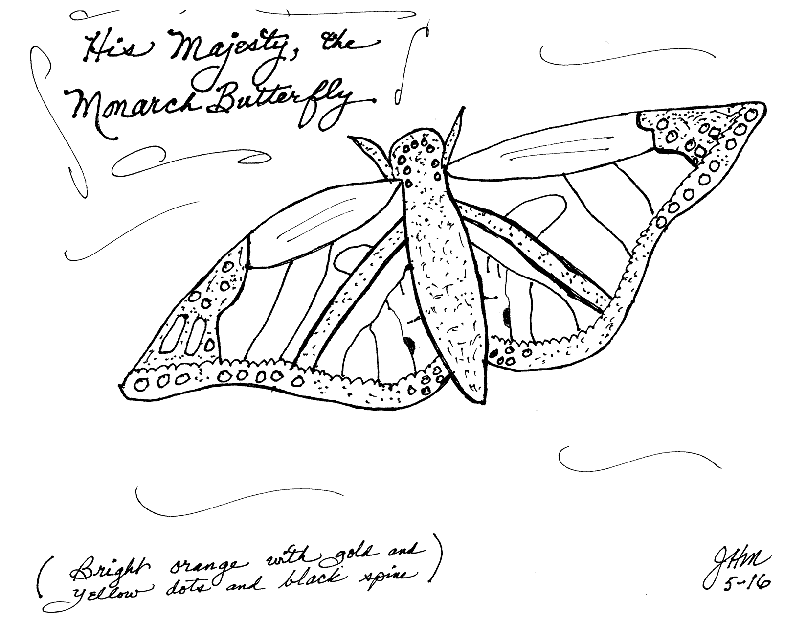Majestic Monarch Butterfly